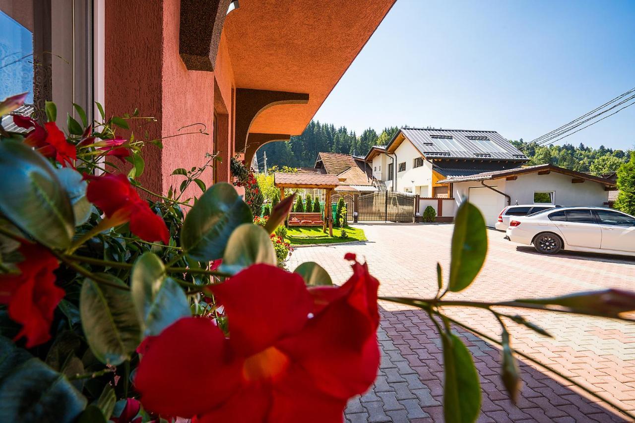 Vila Mery Moisei Exteriér fotografie