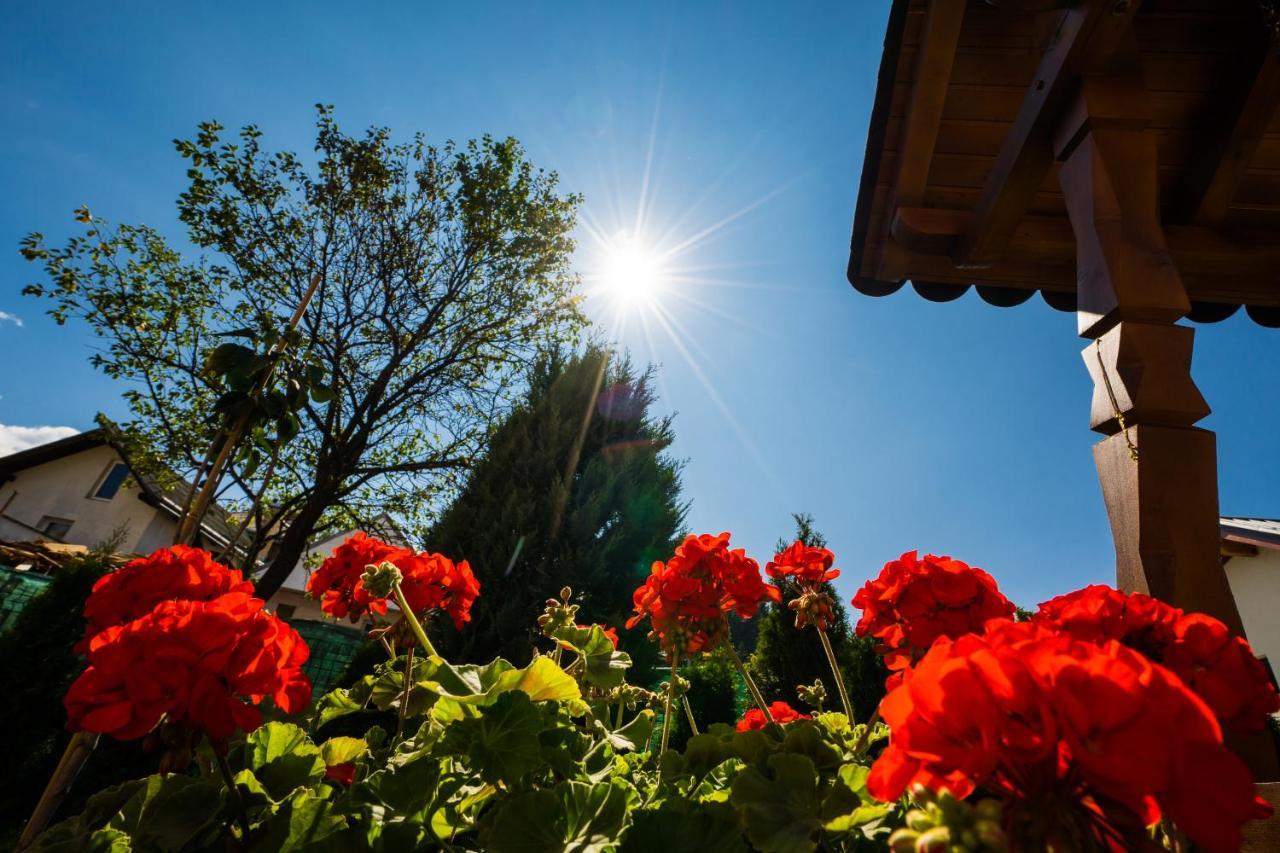 Vila Mery Moisei Exteriér fotografie